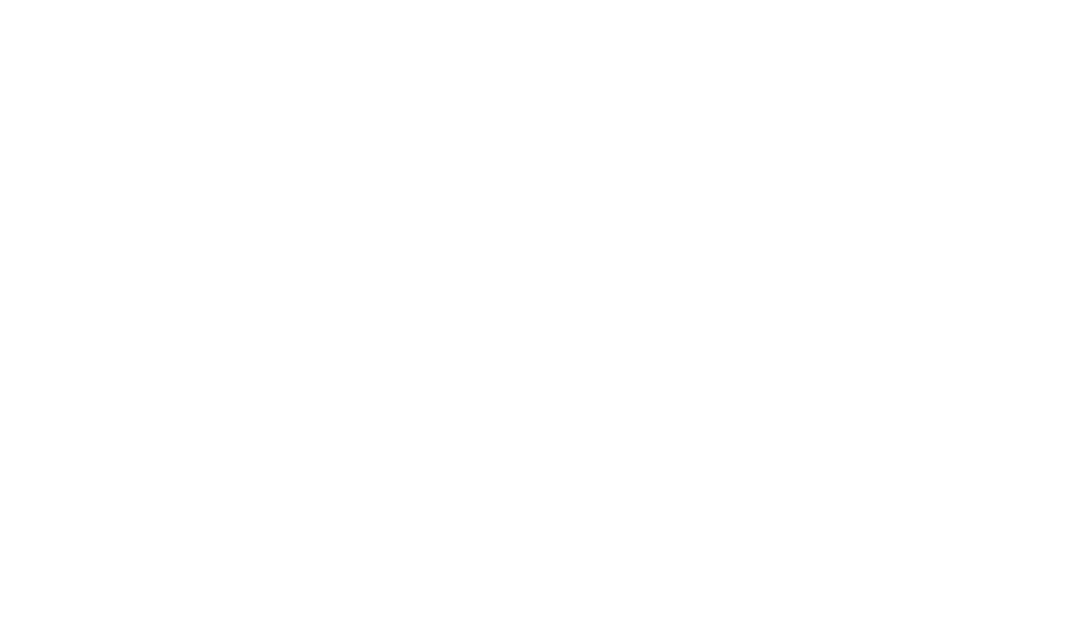 kundenlogo_hanseisenring