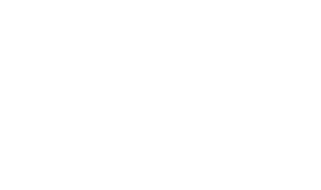kundenlogo_livit